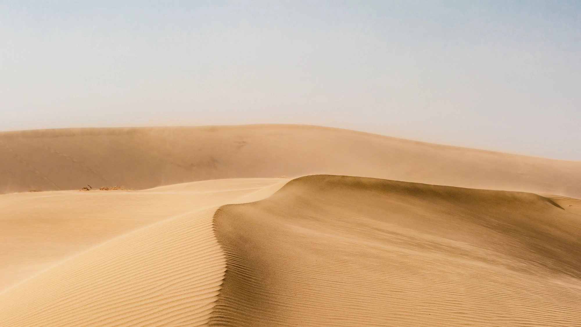 Fondo Historia Nómada